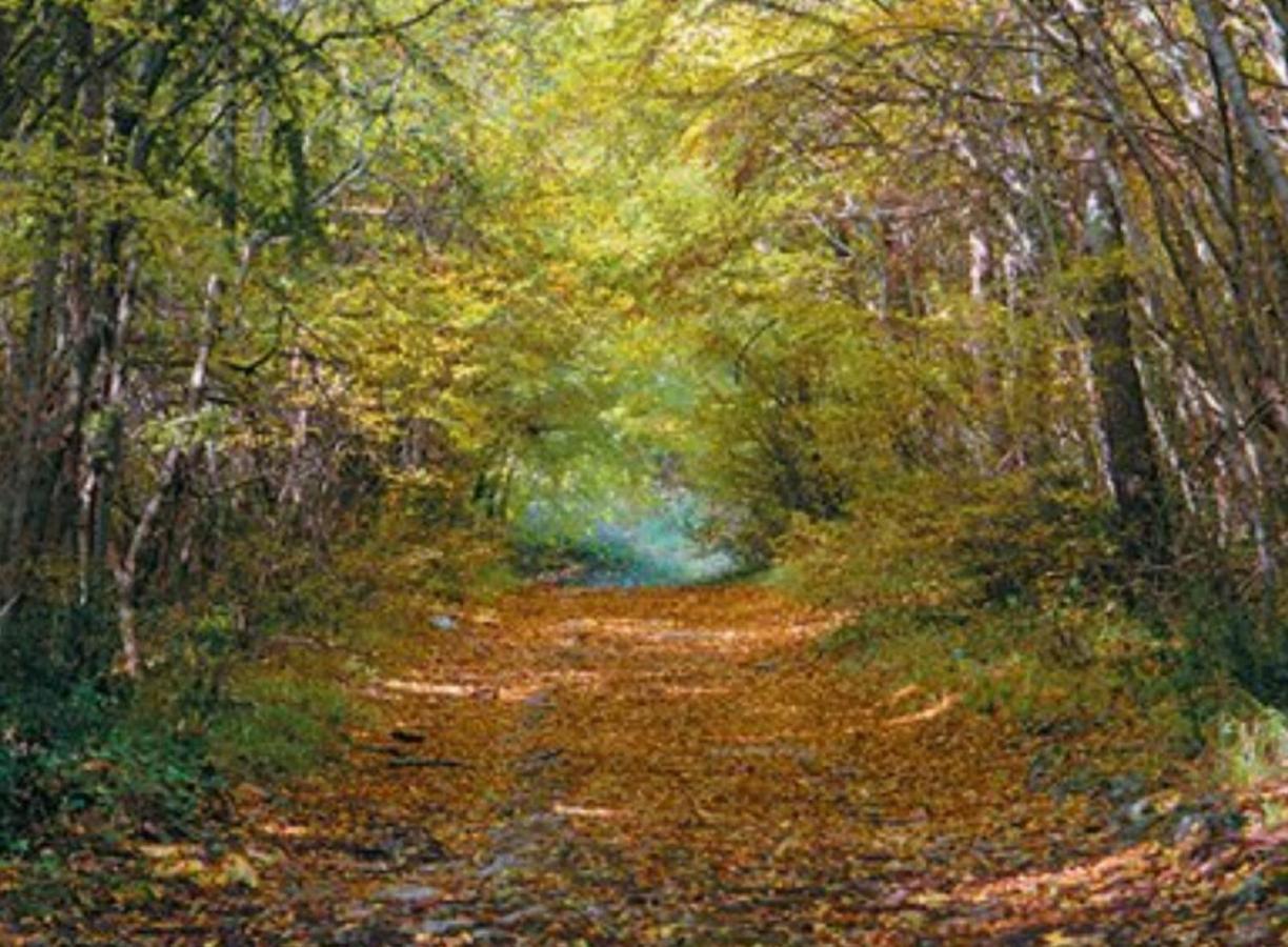 Kaiserwald Pula Ngoại thất bức ảnh
